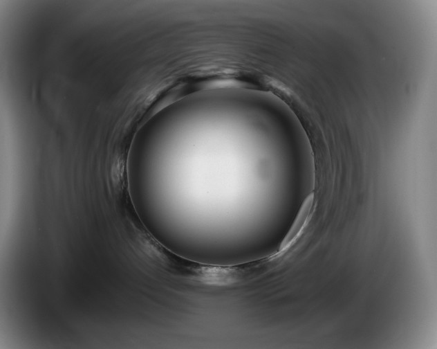 X0000085000192200703121508