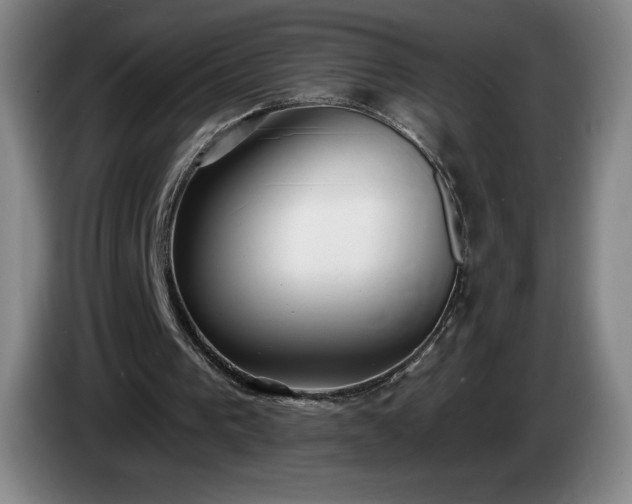 X0000085000193200703121507