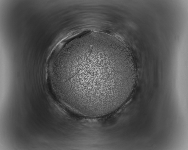 X0000085000194200703121507