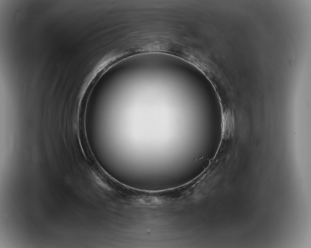 X0000085000195200703121507