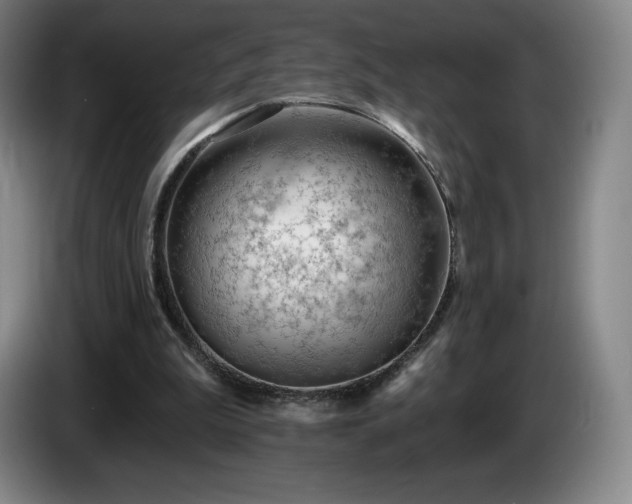 X0000085000199200703121507