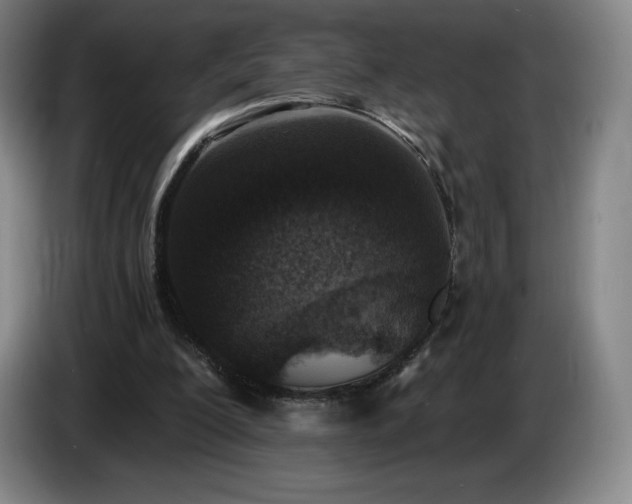 X0000085000200200703121507