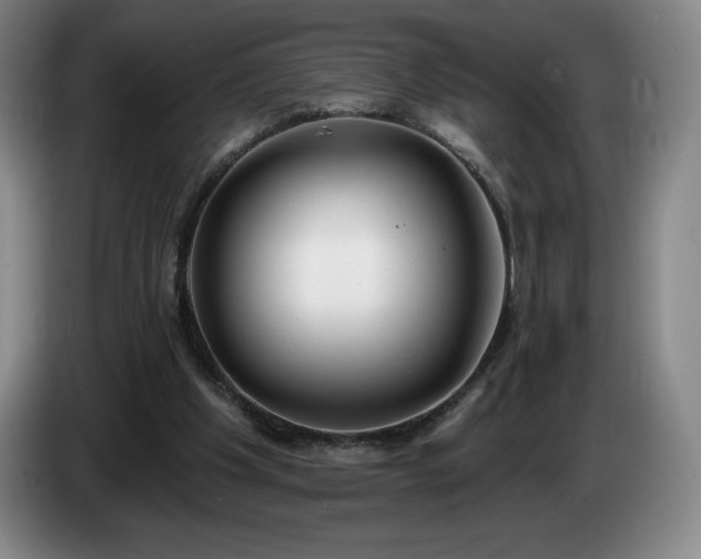 X0000085000201200703121507