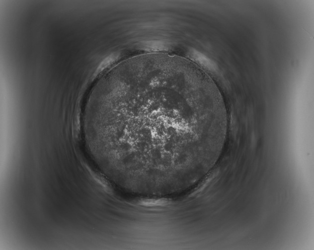 X0000085000202200703121507