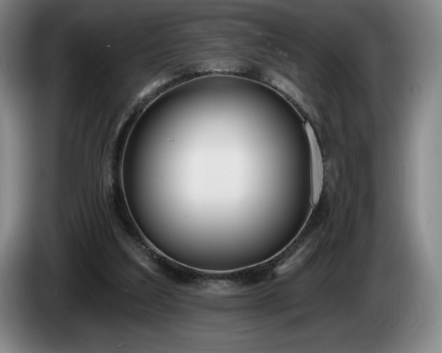 X0000085000203200703121507