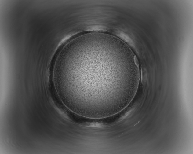 X0000085000204200703121507