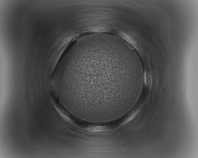 X0000085000205200703121507