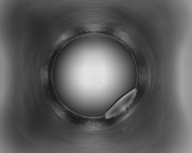 X0000085000207200703121507