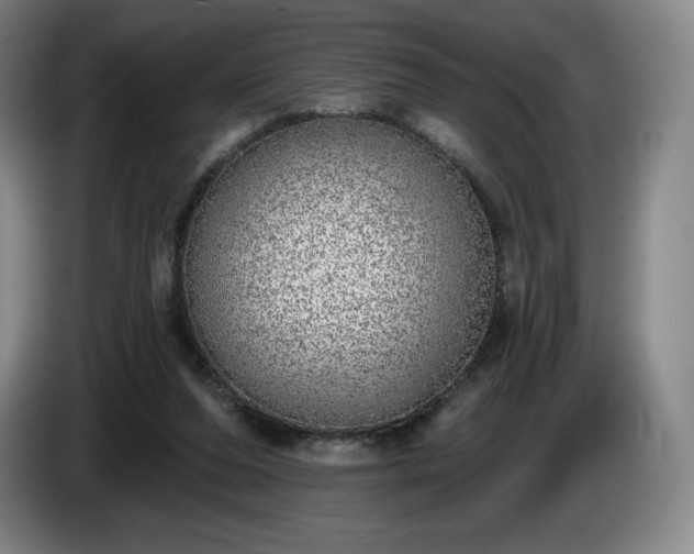 X0000085000208200703121507