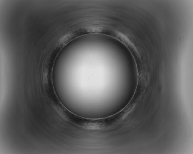 X0000085000209200703121507