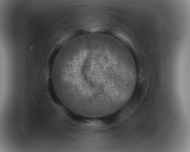 X0000085000210200703121507