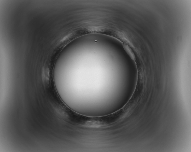 X0000085000211200703121507