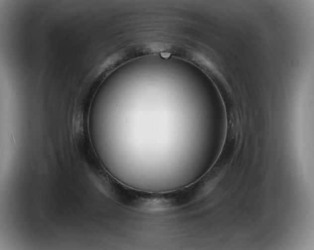 X0000085000212200703121507