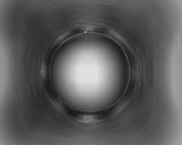 X0000085000216200703121507