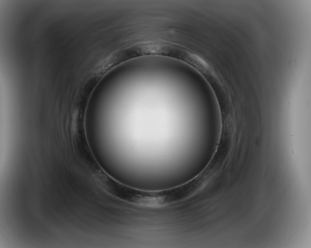 X0000085000217200703121507