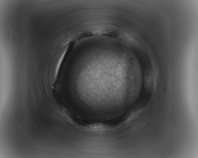 X0000085000219200703121507