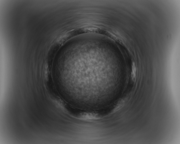 X0000085000223200703121507