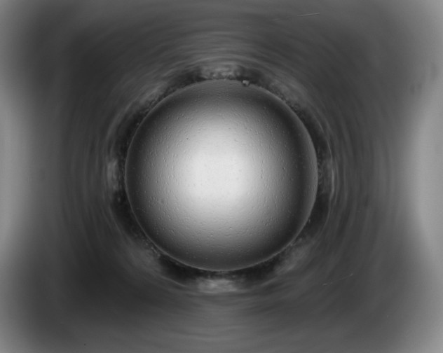 X0000085000224200703121507