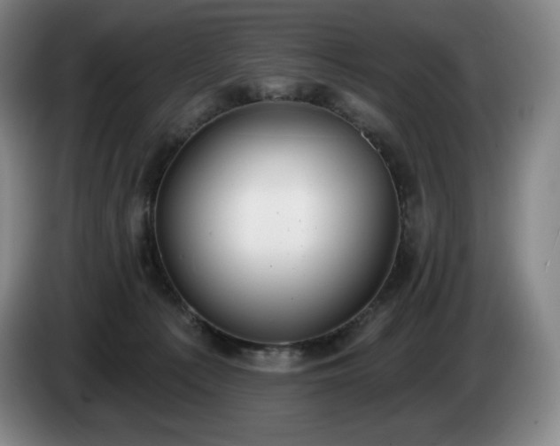 X0000085000225200703121507