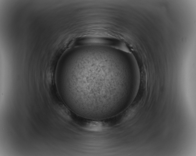 X0000085000227200703121507