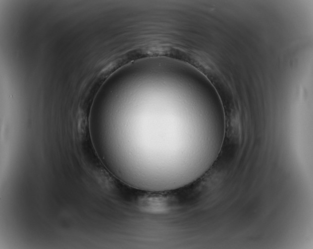 X0000085000228200703121507