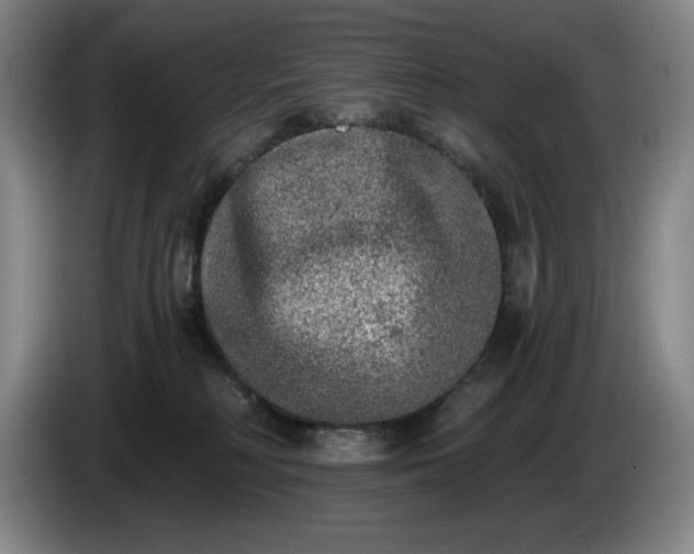 X0000085000230200703121507