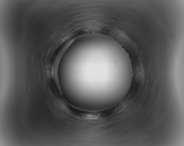 X0000085000232200703121507