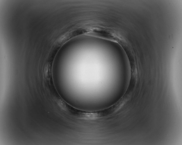 X0000085000233200703121507