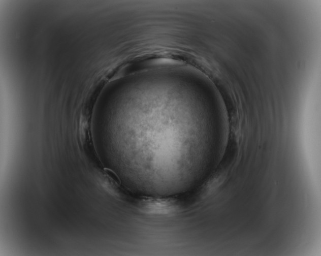 X0000085000235200703121507