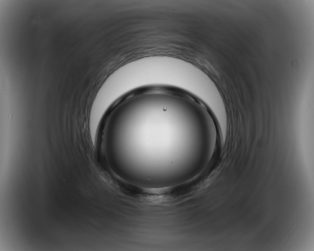 X0000085000237200703121507