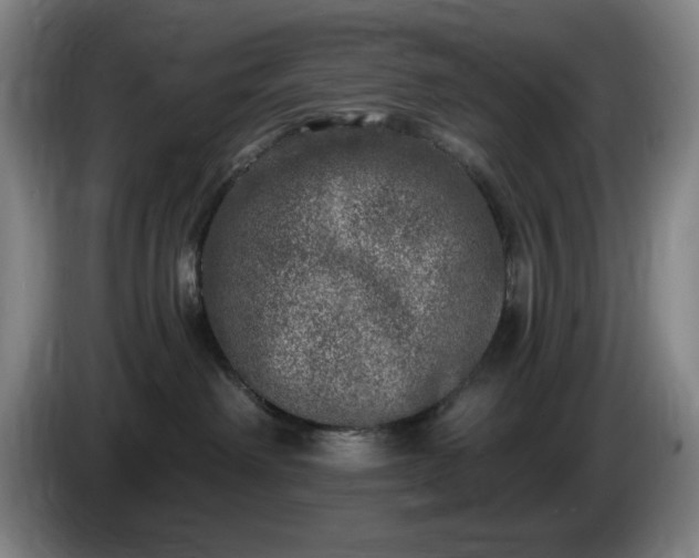 X0000085000238200703121507