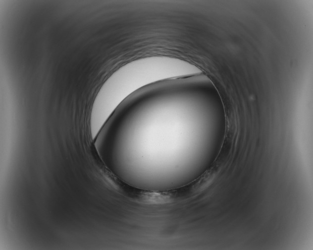 X0000085000239200703121507