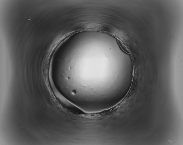 X0000085000241200703121506