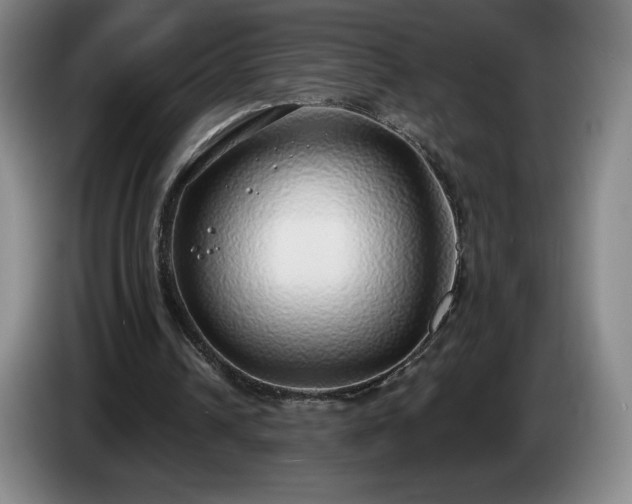 X0000085000242200703121506