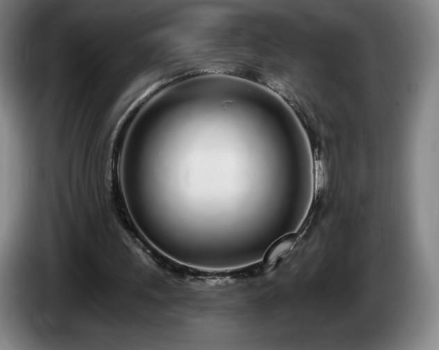 X0000085000243200703121506