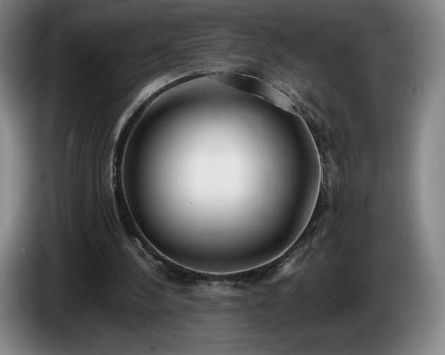 X0000085000244200703121506