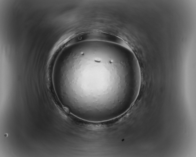 X0000085000245200703121506