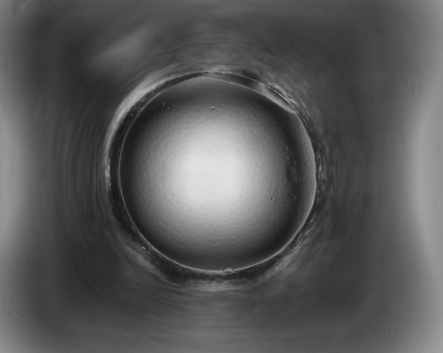 X0000085000246200703121506