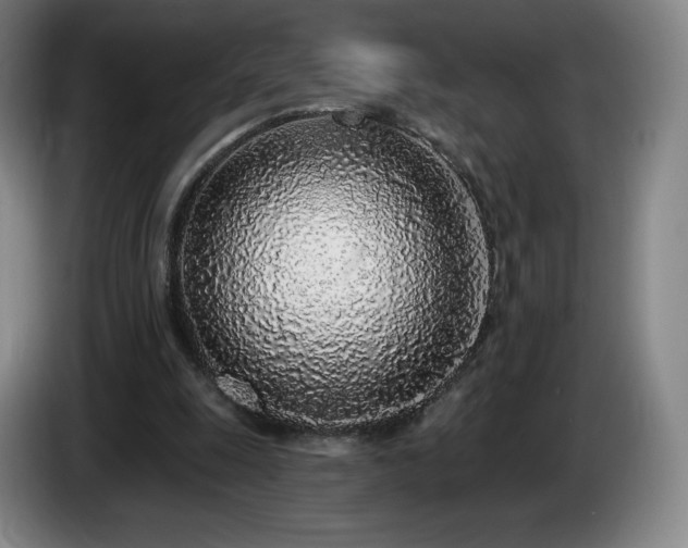 X0000085000247200703121506