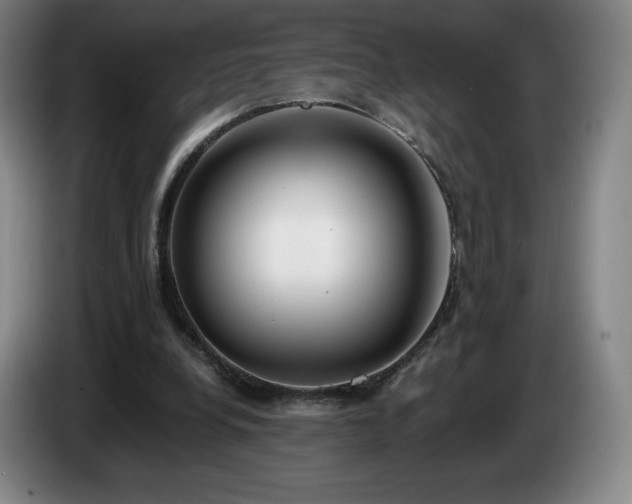 X0000085000248200703121506