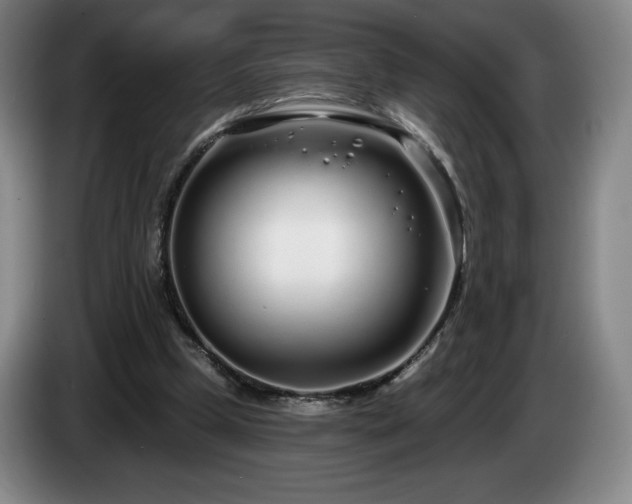 X0000085000249200703121506