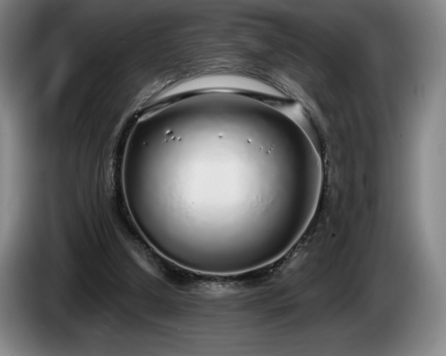 X0000085000250200703121506