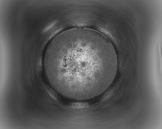 X0000085000251200703121506