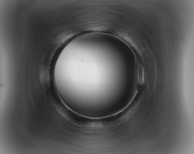 X0000085000252200703121506