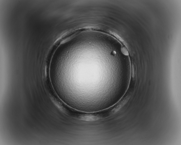 X0000085000253200703121506