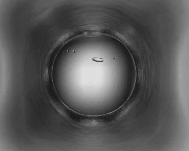 X0000085000254200703121506