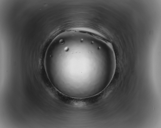 X0000085000258200703121506