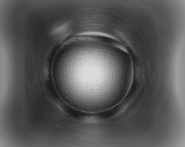 X0000085000259200703121506