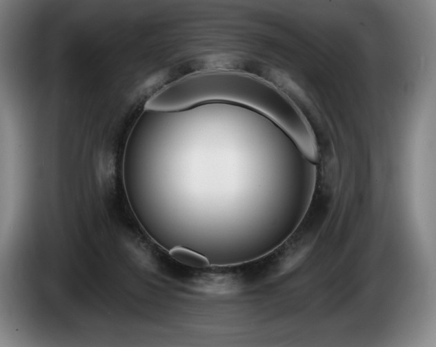 X0000085000260200703121506