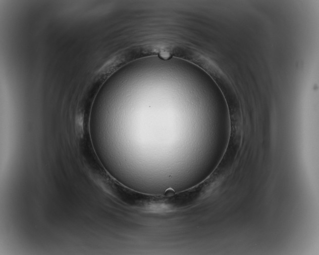 X0000085000262200703121506